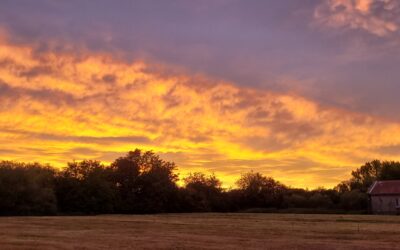 LE SOLEIL SE COUCHE SUR LA SAISON 2025